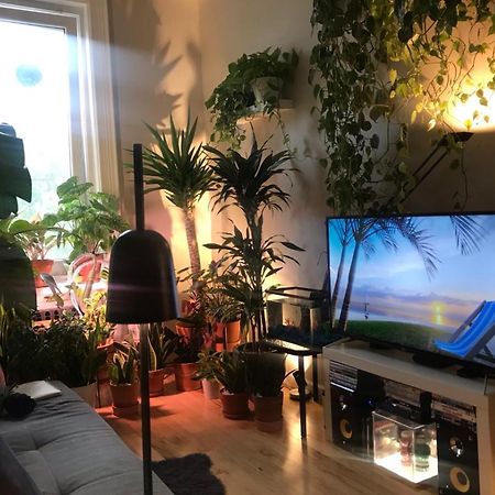 Urban Jungle Oasis In Queens! Lägenhet New York Exteriör bild