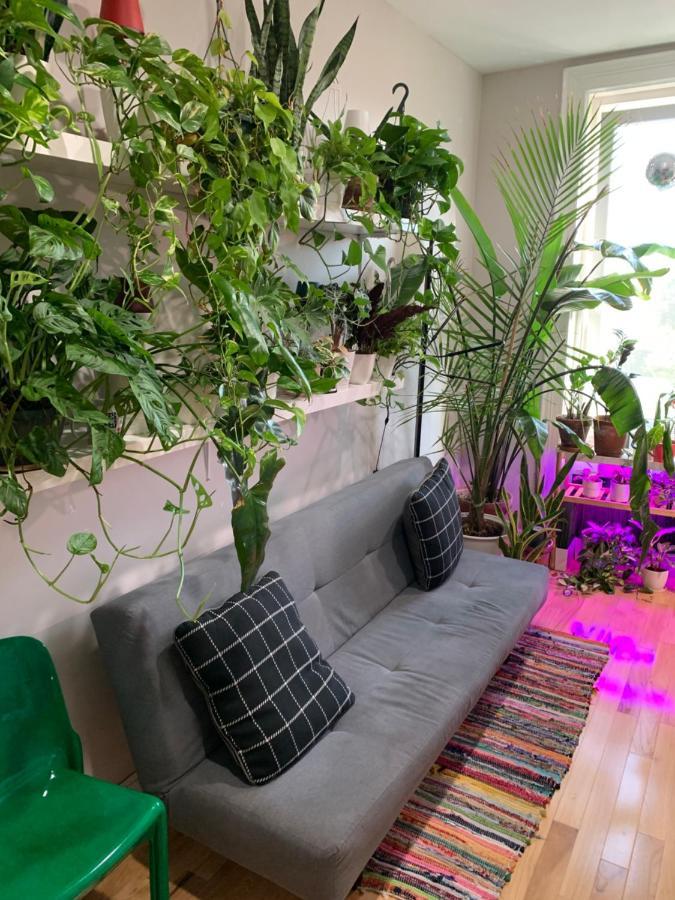 Urban Jungle Oasis In Queens! Lägenhet New York Exteriör bild