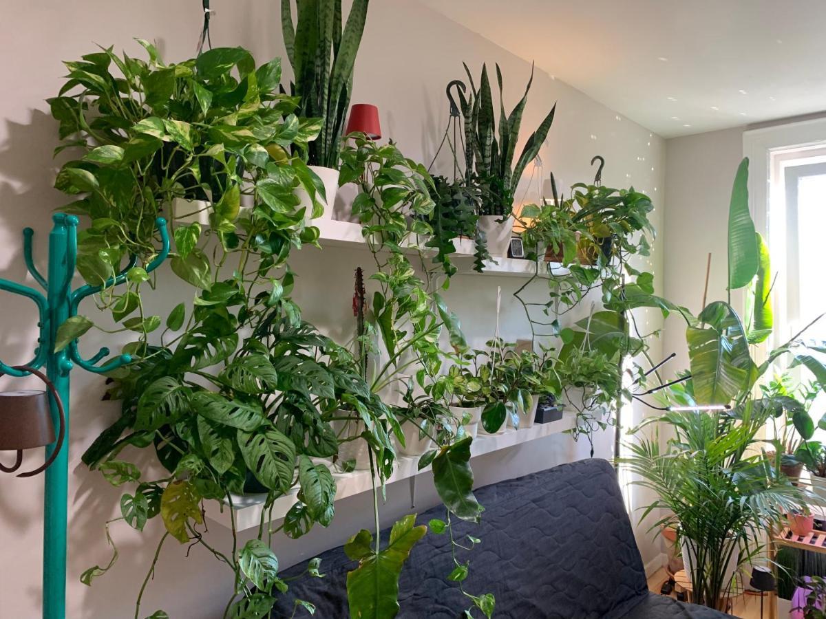 Urban Jungle Oasis In Queens! Lägenhet New York Exteriör bild