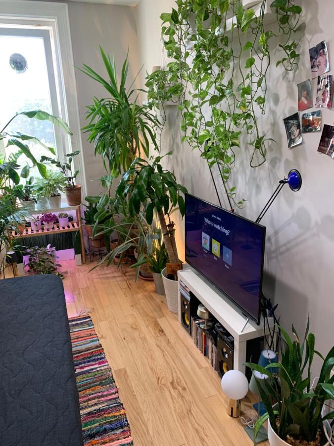 Urban Jungle Oasis In Queens! Lägenhet New York Exteriör bild